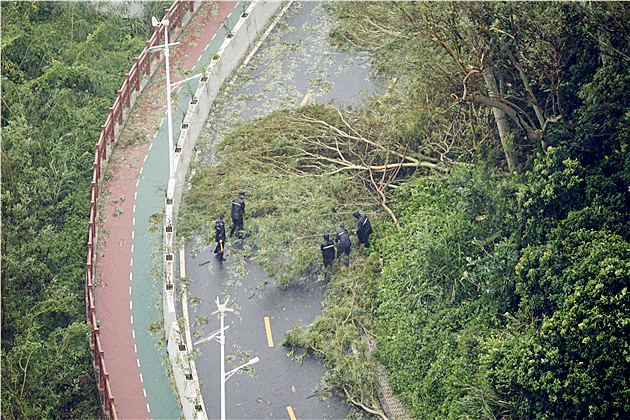 “山竹”之下的深職力量